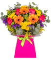 Bright and Colourful - flowers