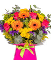 Bright and Colourful - flowers